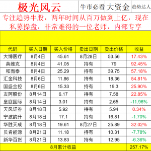 上新【极光风云】附战绩-鸿运资讯